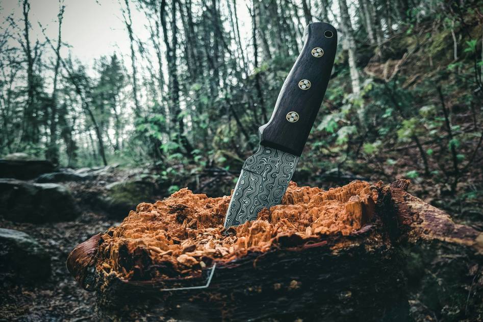 Campfire scene with survival tools and notebook